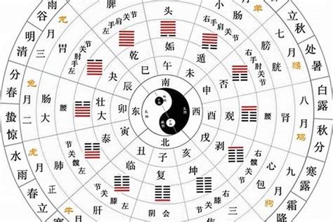 天干地支由來|古人的大數據智慧—天干地支